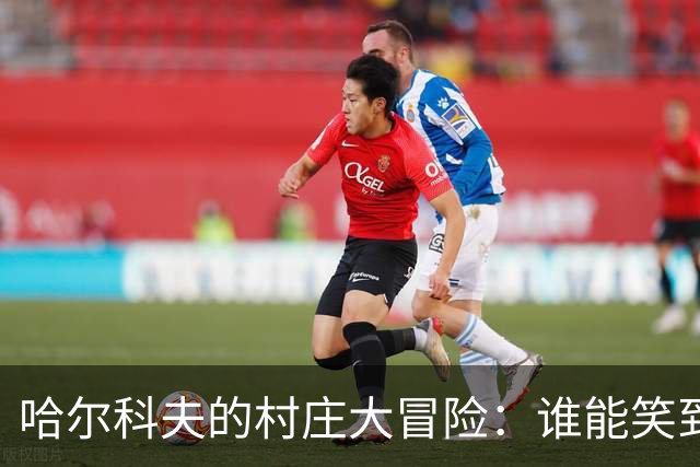 哈尔科夫的村庄大冒险：谁能笑到最后？